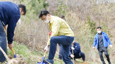 제76회 식목일 나무심기 행사 실시