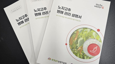 충남도 농업기술원, 노지 고추 병해 진단·방제법 제시